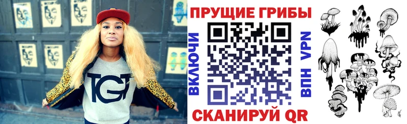 Купить  Козельск  Галлюциногенные грибы мицелий 